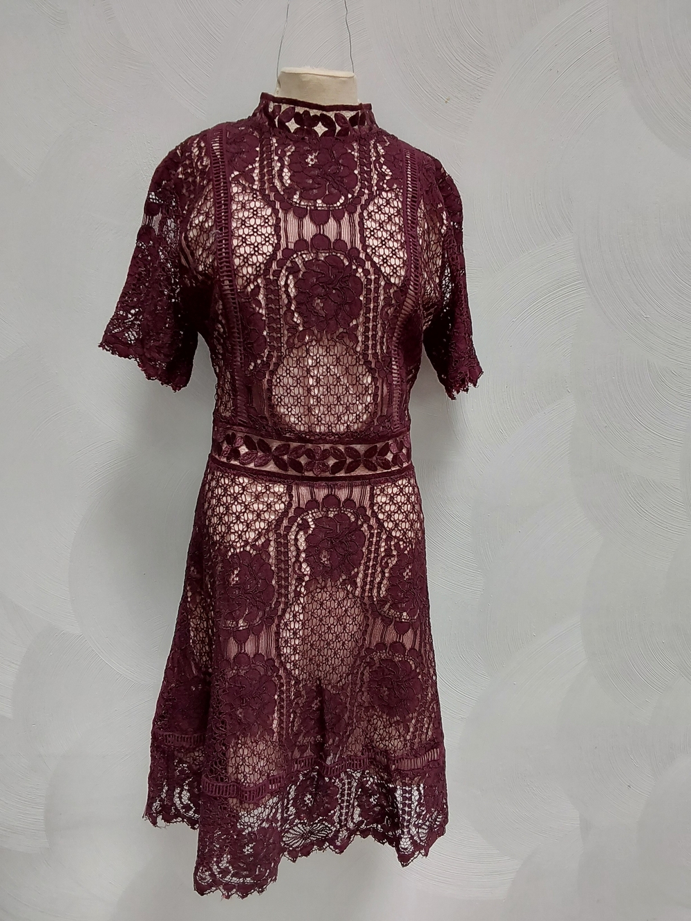BB Dakota Lace Fit & Flare Dress - Burgundy 8
